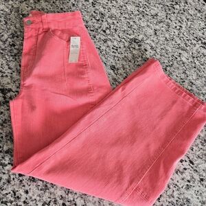 Anthroplogie Pilcro barrel jean 23T